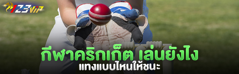 กีฬาคริกเก็ต เล่นยังไง แทงแบบไหนให้ชนะ ?